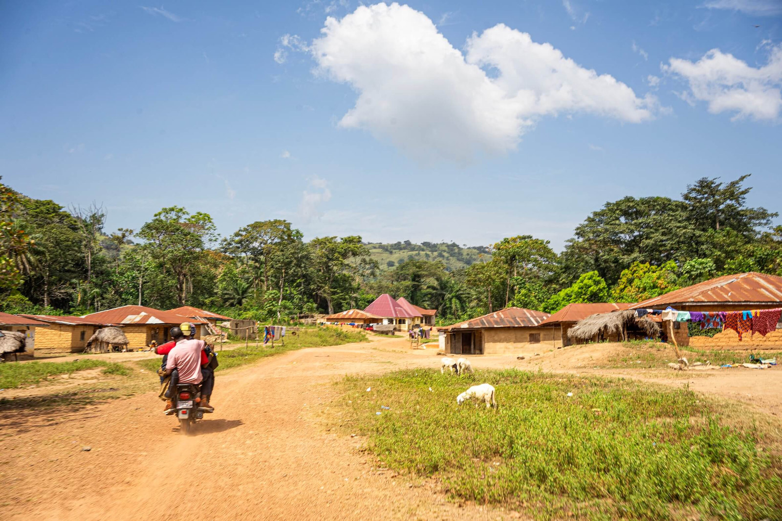 A village road with a motorbike passing between houses